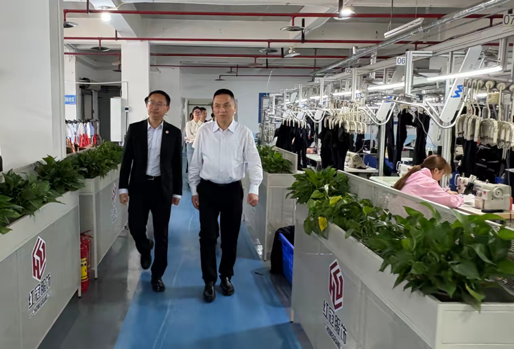巴南区领导调研｜朱激扬常委为红冠服饰高质量发展“把脉定向”