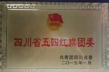 四川省五四红旗团委称号 